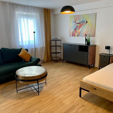 Air-Conditioned, Quiet Apartment With A Terrace In Center Of St Poelten - Smart Tv Sankt Poelten Buitenkant foto