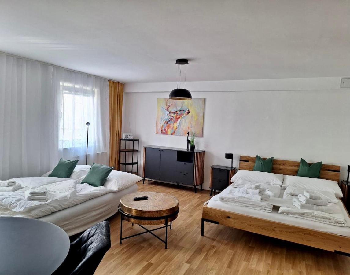 Air-Conditioned, Quiet Apartment With A Terrace In Center Of St Poelten - Smart Tv Sankt Poelten Buitenkant foto